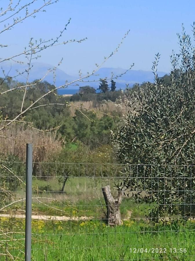Corfu Oasis Ferienhaus