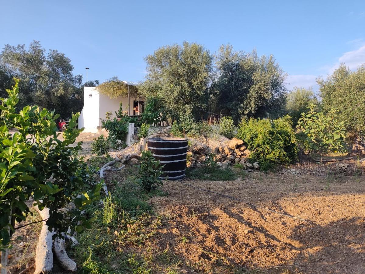 Ferienhaus Corfu Oasis *